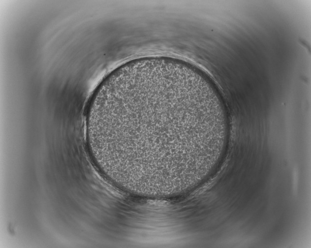 X0000102461509200809051258