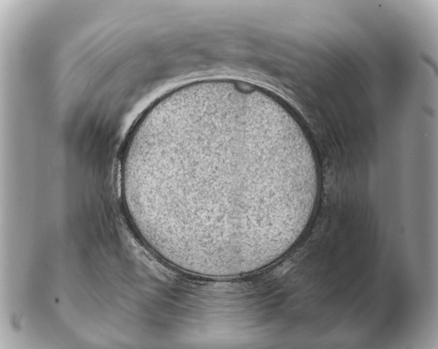 X0000102461510200809051258