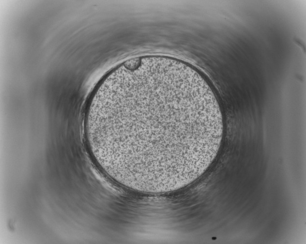 X0000102461511200809051258
