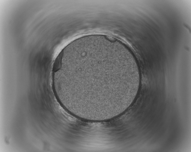 X0000102461512200809051258