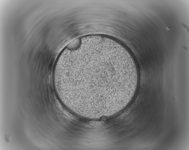 X0000102461513200809051258