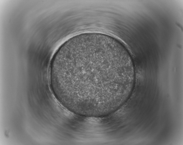 X0000102461514200809051258