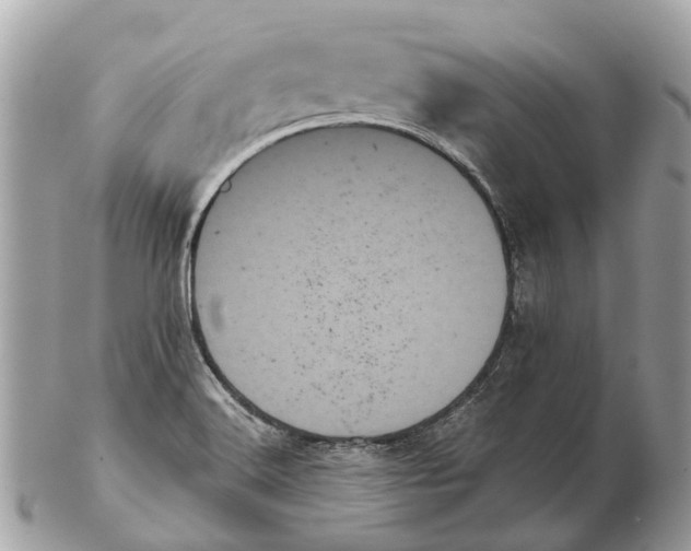 X0000102461516200809051258