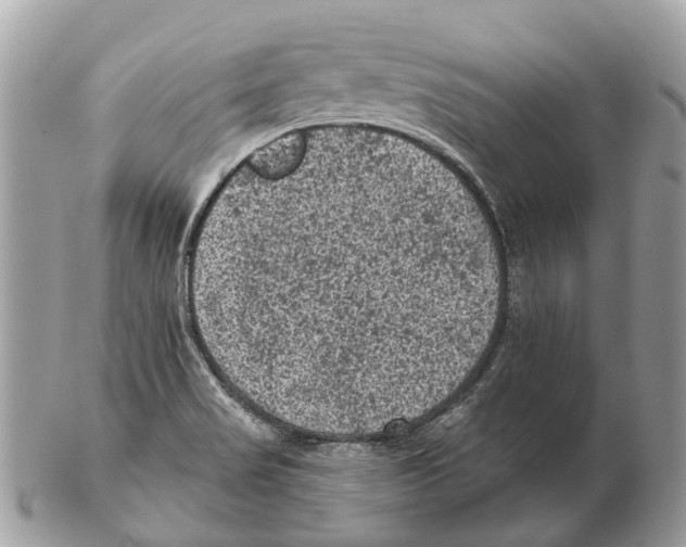 X0000102461517200809051258