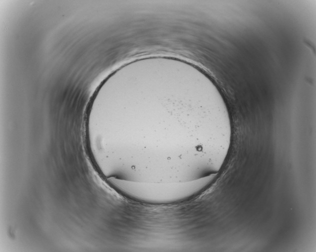 X0000102461518200809051258