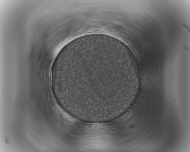 X0000102461519200809051258