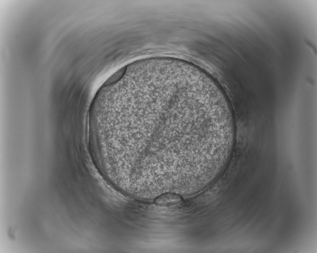 X0000102461520200809051258