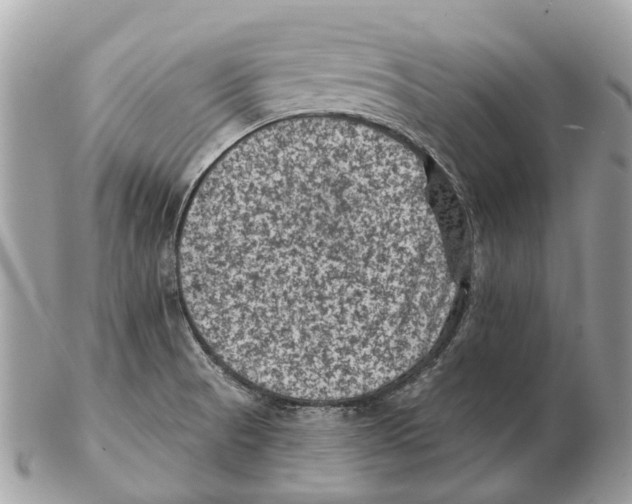 X0000102461521200809051258