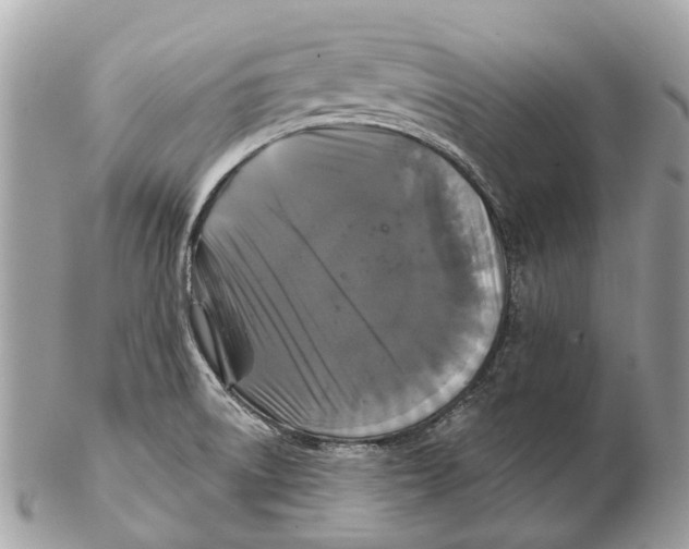 X0000102461522200809051258