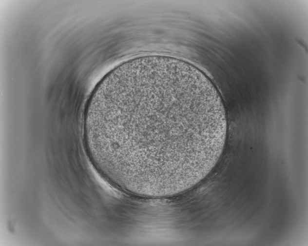 X0000102461523200809051258