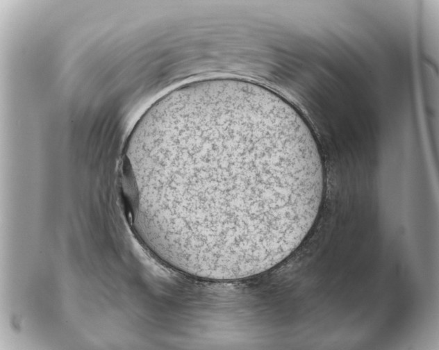 X0000102461524200809051258