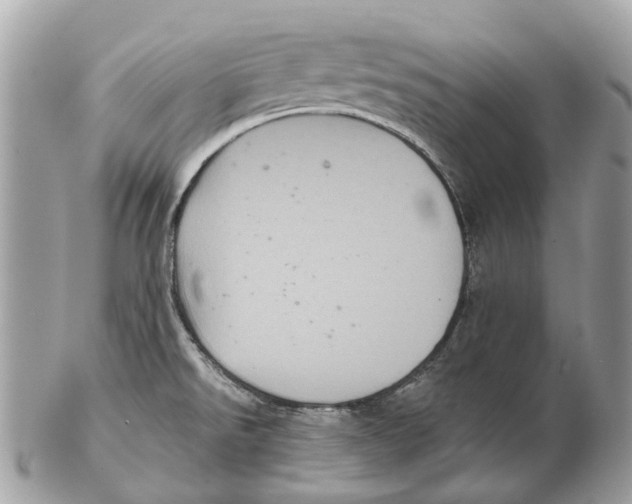 X0000102461526200809051258