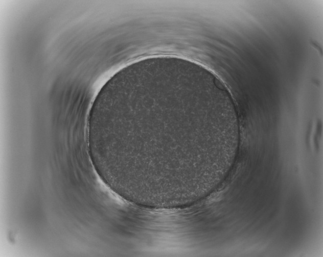X0000102461527200809051258