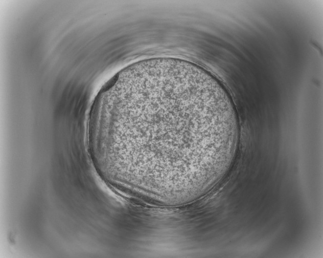 X0000102461528200809051258