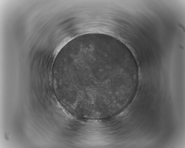 X0000102461529200809051258