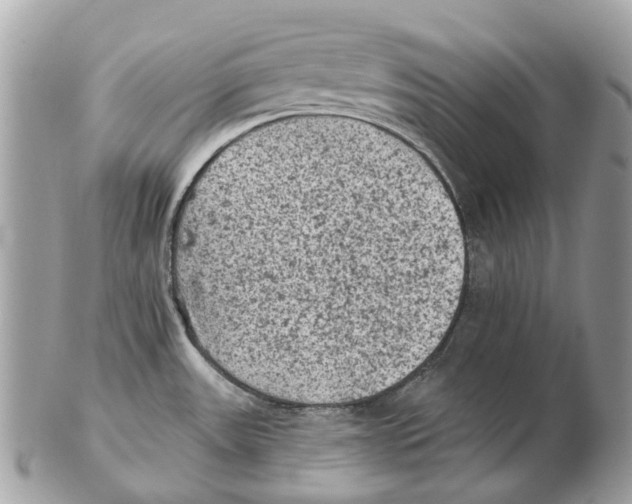 X0000102461531200809051258