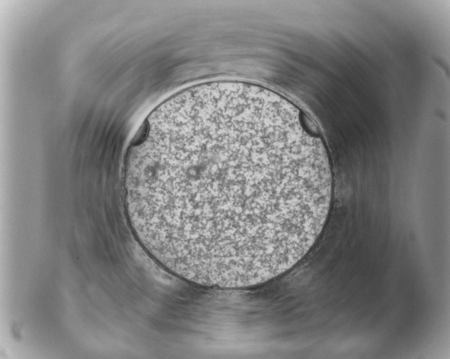 X0000102461532200809051258