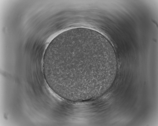 X0000102461535200809051258