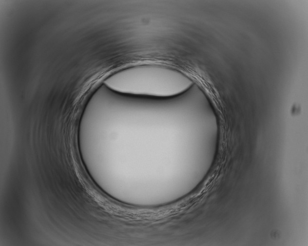 X0000102470001200808081020