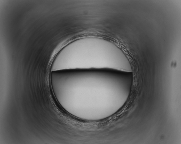 X0000102470004200808081020