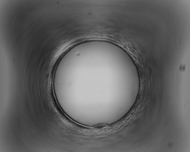 X0000102470005200808081020