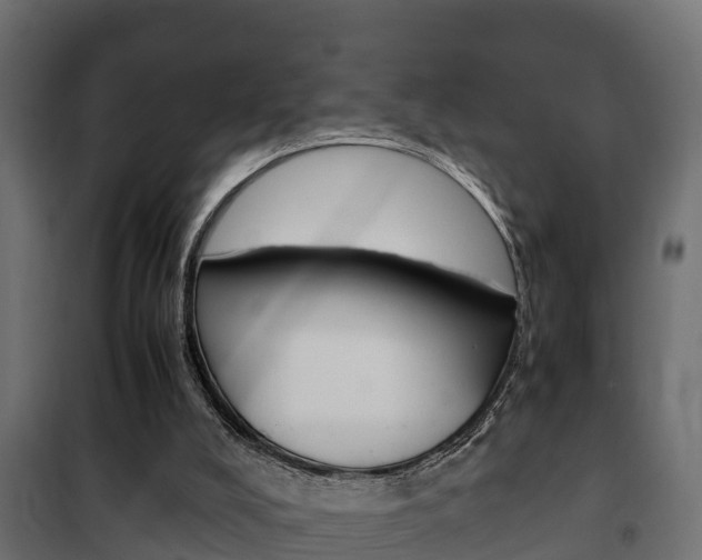 X0000102470008200808081020