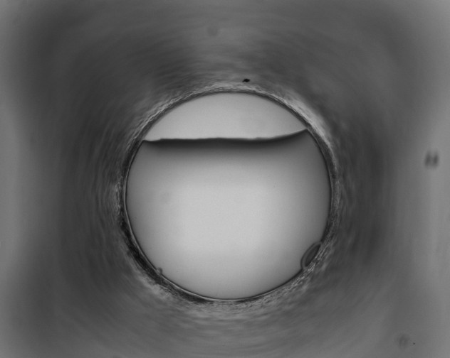 X0000102470009200808081020
