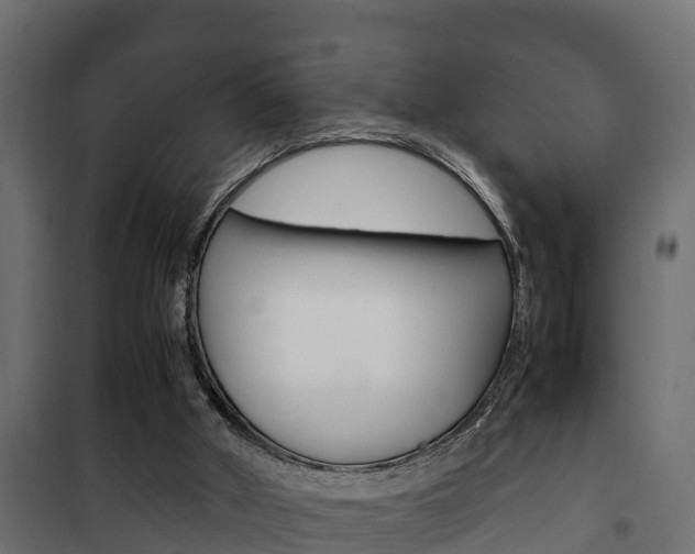 X0000102470010200808081020