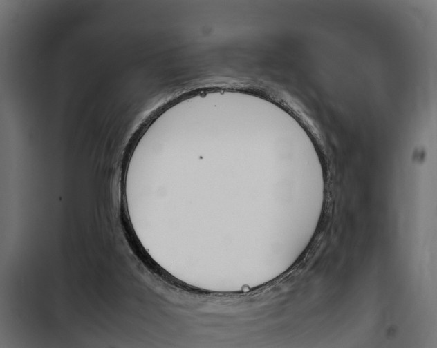 X0000102470011200808081020