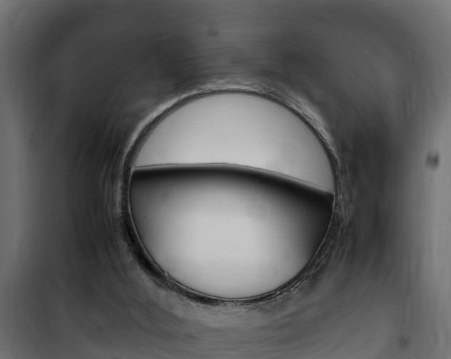 X0000102470012200808081020