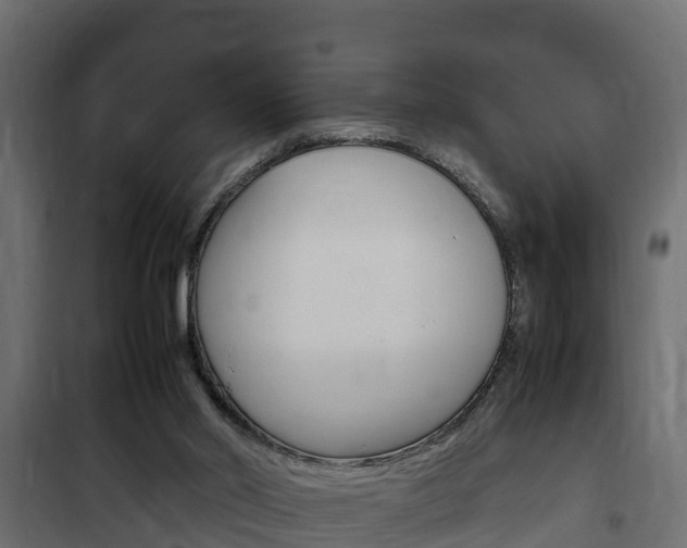 X0000102470014200808081020