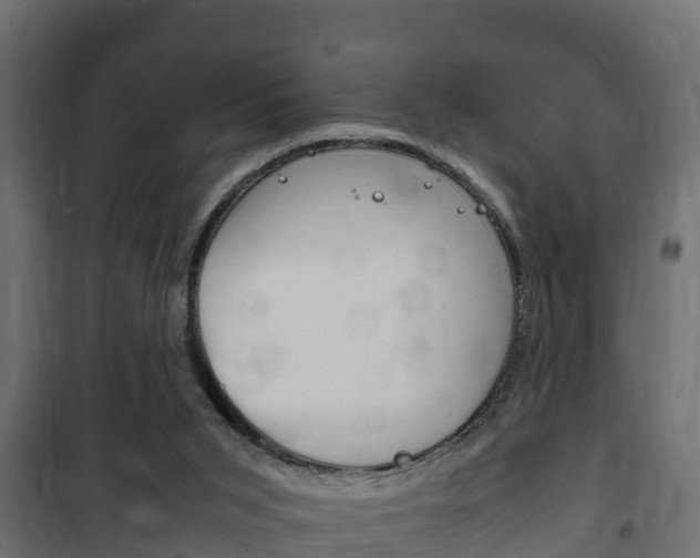 X0000102470015200808081020