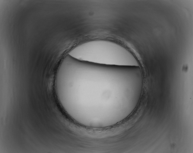 X0000102470018200808081020