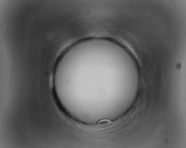 X0000102470019200808081020