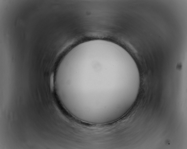 X0000102470020200808081020