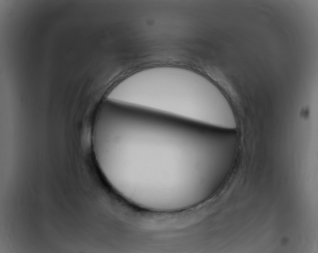 X0000102470021200808081020