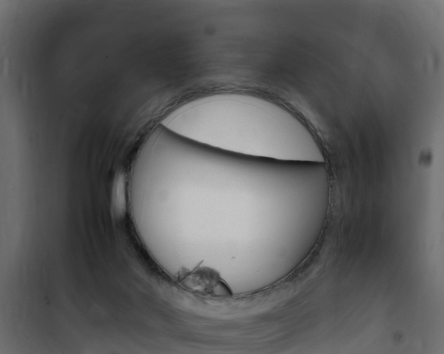 X0000102470022200808081020