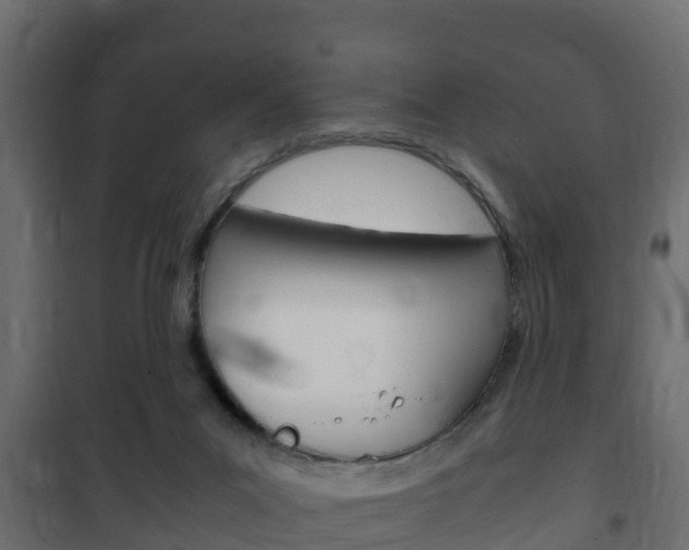 X0000102470023200808081020