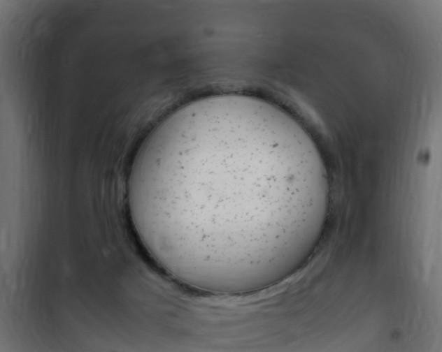 X0000102470025200808081020