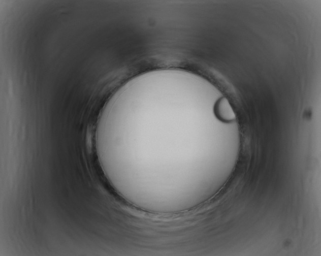 X0000102470026200808081020