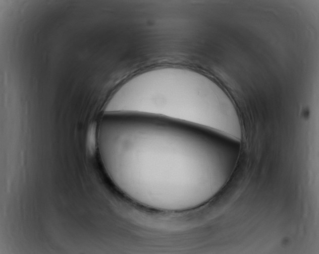 X0000102470028200808081020