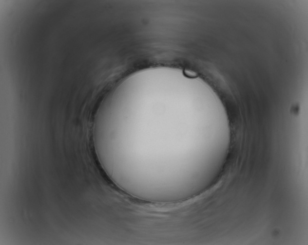 X0000102470033200808081020