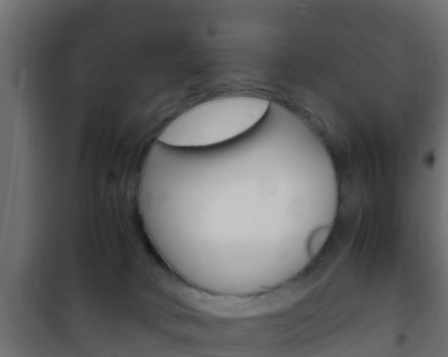 X0000102470034200808081020