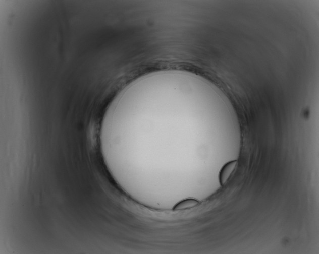 X0000102470038200808081020