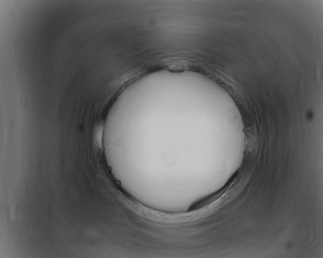X0000102470047200808081019