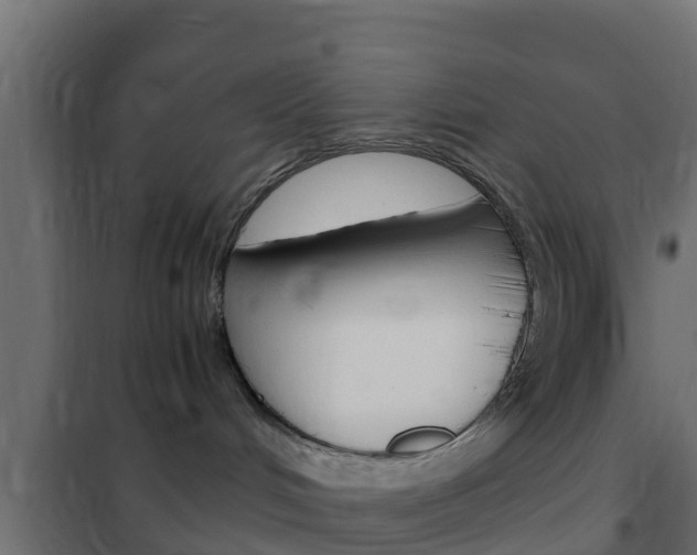X0000102470048200808081019