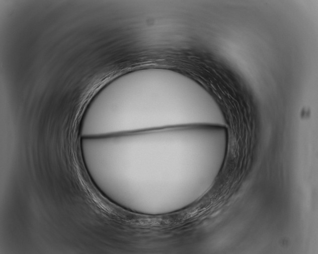 X0000102470049200808081019