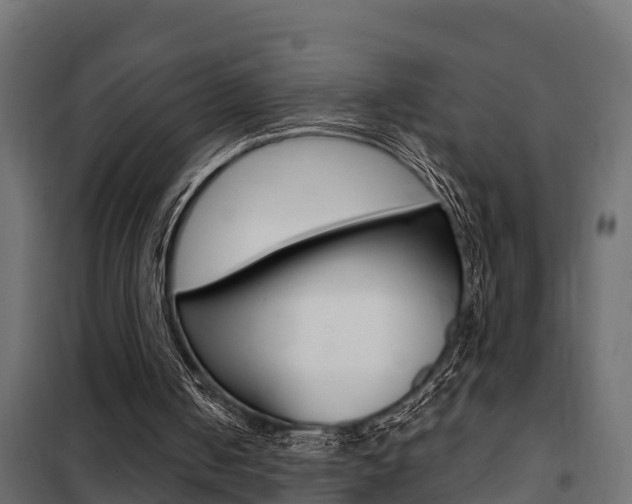 X0000102470050200808081019