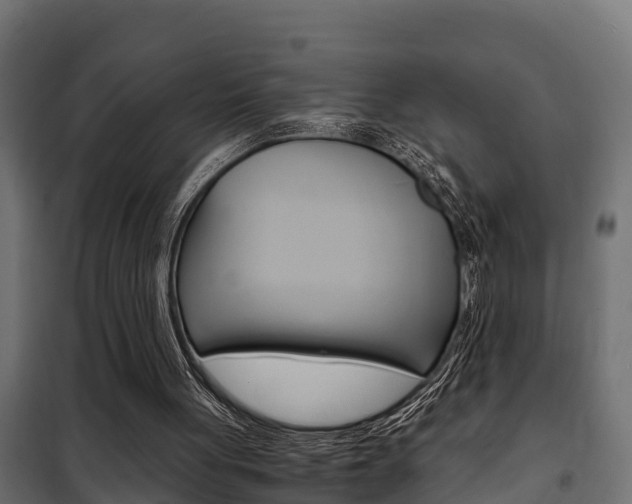 X0000102470051200808081019