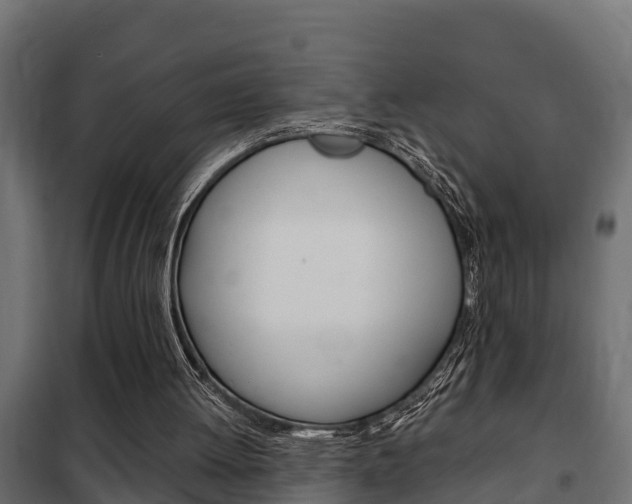 X0000102470052200808081019